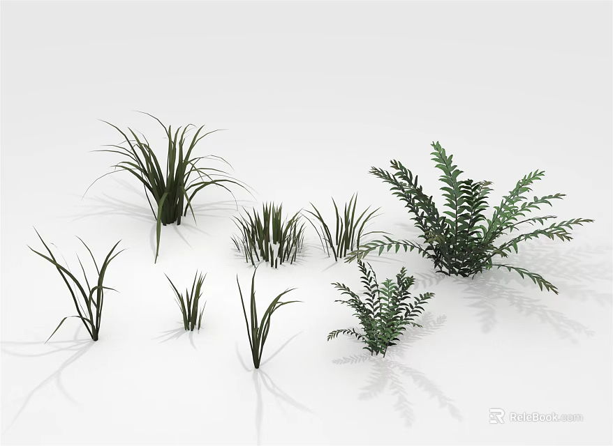 Various Types of Green Plants with Different Leaf Shapes on White Background 3d model 