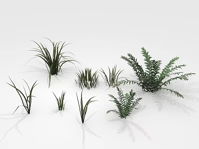 Various Types of Green Plants with Different Leaf Shapes on White Background 3d model