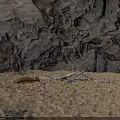 Cave Interior With Rocky Walls Sandy Ground Driftwood Branches And Animal Hide