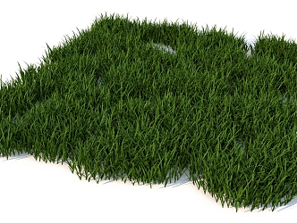 plant grassland 3d model