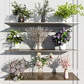 Assorted Flowers and Green Plants in Glass Vases on Multi Tier Shelves Against White Wall Background
