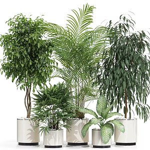 Modern indoor green plant potted combination 3d model