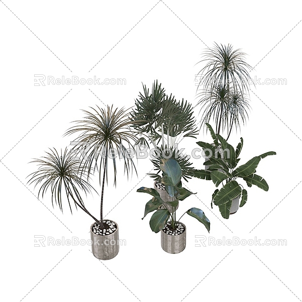 Modern potted green plants potted plants bonsai plant combination 3D model 107 3d model