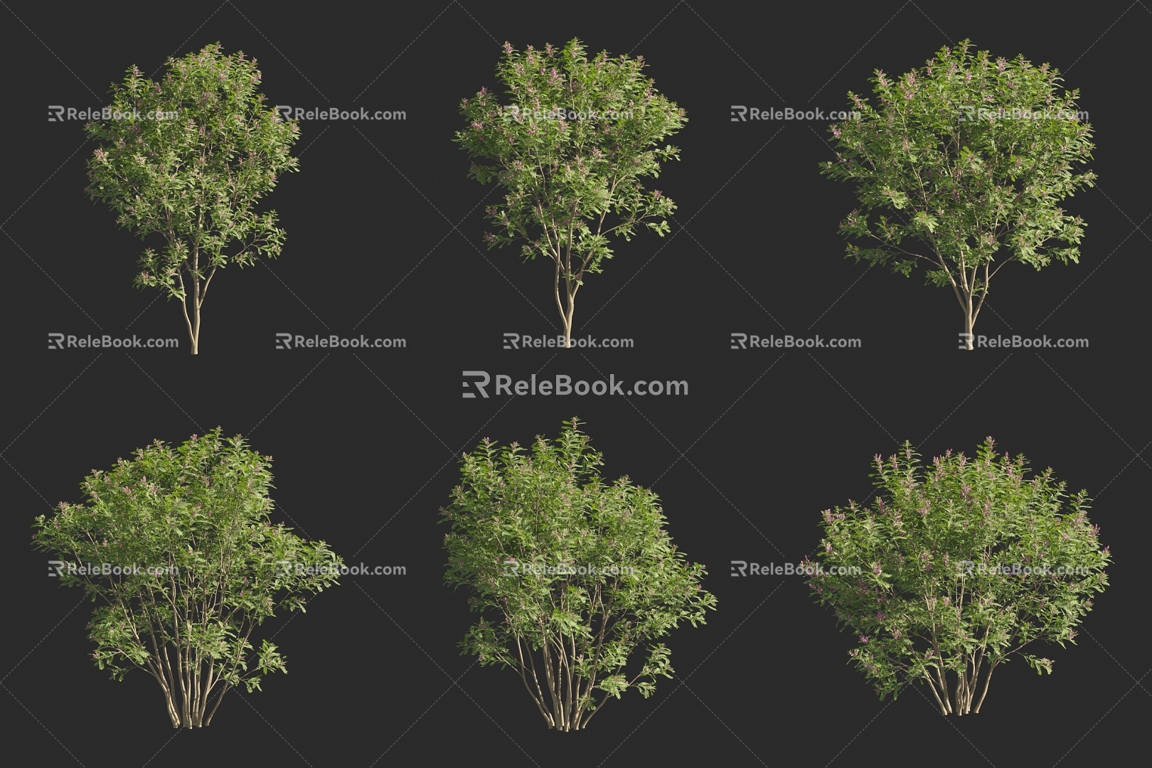 Blossom Tree Blue Flower Tree Shrub 3d model