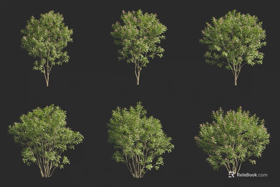 Various Types Of Green Shrubs Showcase Different Growth Patterns And Foliage Features 3d model 