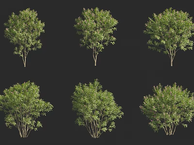 Various Types Of Green Shrubs Showcase Different Growth Patterns And Foliage Features 3d model