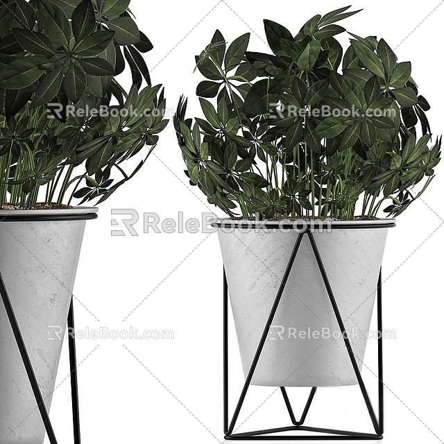 plant green plant flower bed shrub bonsai potted plant 3d model