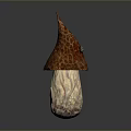 Fresh Edible Mushroom With Brown Textured Cap And Light Colored Stem