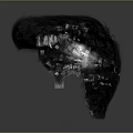 Realistic Human Head Hair 3D Model With Detailed Textured Strands