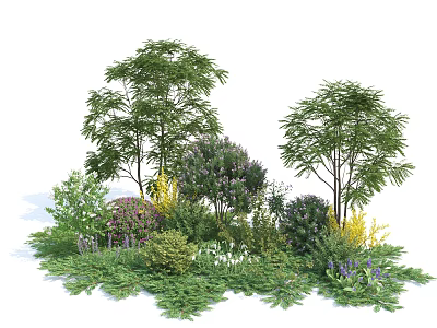 Garden Shrubs with Various Green Foliage and Colorful Flowers for Landscaping Design 3d model