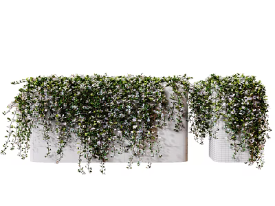 Decorative Hanging Vines In White Rectangular Planters With Trailing Green Leaves And Small White Flowers 3d model