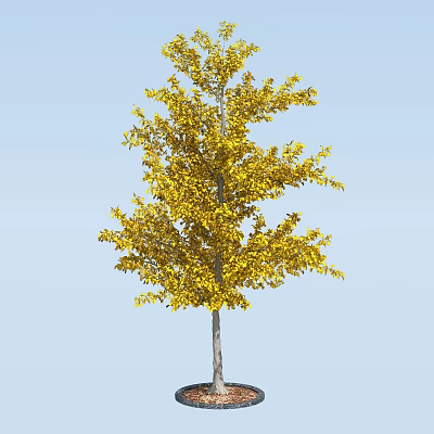 Solitary Arbor With Lush Yellow Leaves Standing Against Clear Blue Sky 3d model