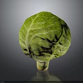 Fresh Green Cabbage with Crisp Textured Leaves on Dark Reflective Surface 3d model