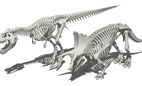 Modern Dinosaur Skeleton Combination 3d model