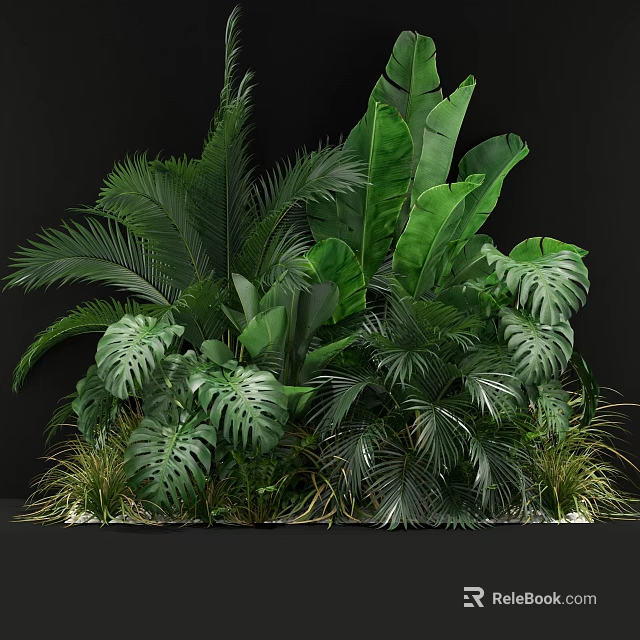 Lush Tropical Green Plants With Various Leaf Shapes And Foliage 3d model 