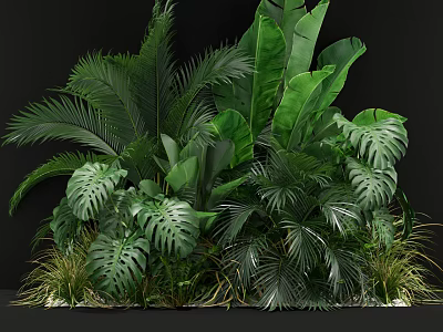 Lush Tropical Green Plants With Various Leaf Shapes And Foliage 3d model