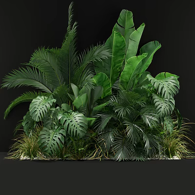 Lush Tropical Green Plants With Various Leaf Shapes And Foliage 3d model