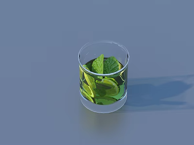 Fresh Refreshing Drink with Green Leaves and Lemon Slices in Transparent Glass Cup 3d model