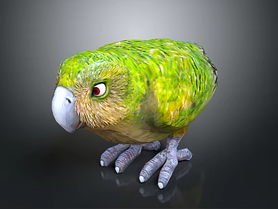 Vibrant Green Parrot with Colorful Feathers Red Eyes and Grey Claws Standing On Black Surface 3d model