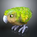 Vibrant Green Parrot with Colorful Feathers Red Eyes and Grey Claws Standing On Black Surface