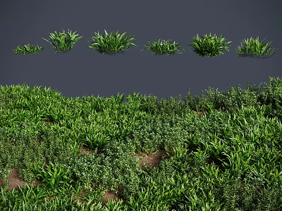 Green Shrubs with Various Sizes and Shapes for Garden and Landscape Design 3d model
