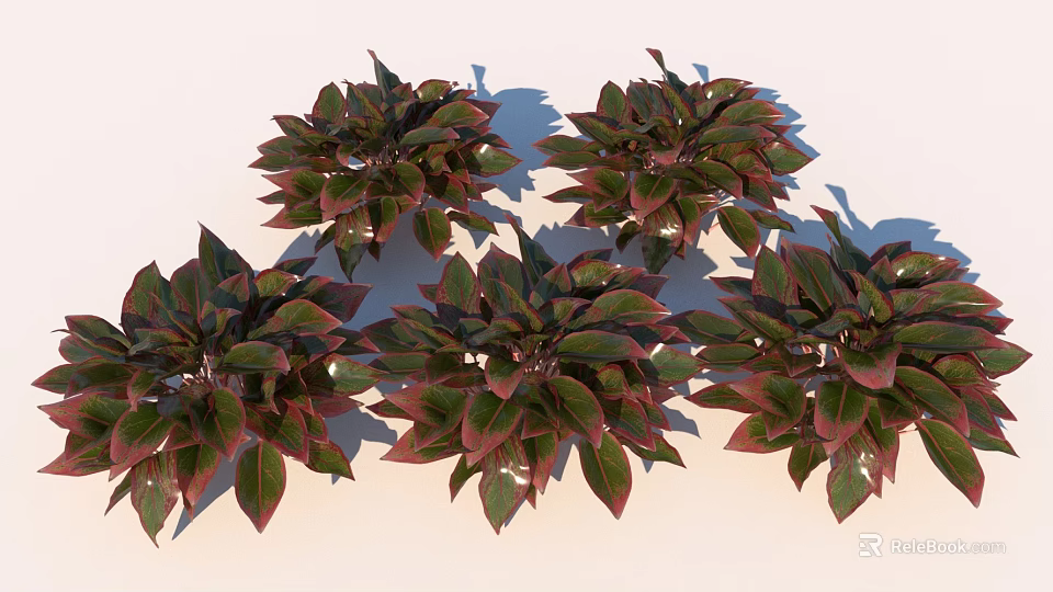 Vibrant Green And Red Leaf Plants In Lush Foliage Arrangement 3d model 