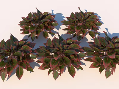 Vibrant Green And Red Leaf Plants In Lush Foliage Arrangement 3d model
