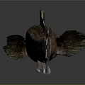 3D Rendered Fish with Brown Body Orange Dorsal Fin and Black Eyes