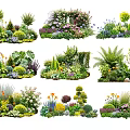 Diverse Flower and Plant Combinations with Colorful Blooms and Lush Foliage