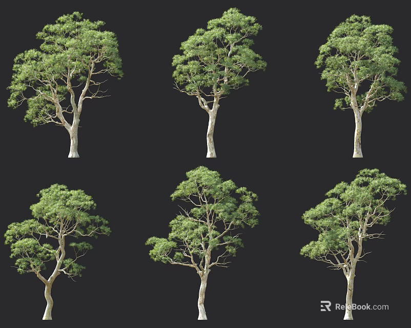 Various Arbor Trees With Green Foliage And Trunks Display Different Poses Against Dark Background 3d model 