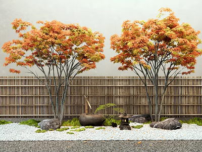 Vibrant Orange Maple Trees In Japanese Garden With Bamboo Fence Pebbles And Stone Lantern 3d model