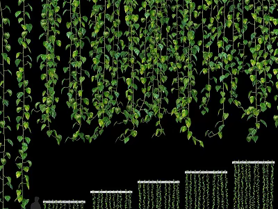 Artificial Decorative Hanging Green Vines with Lush Leaves for Wall Decoration 3d model