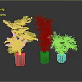 Different Types of Green Potted Plants In Cylindrical Pots Against Gray Background