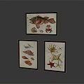 Three Framed Marine Life Decorative Paintings With Fish Crab Starfish And Octopus
