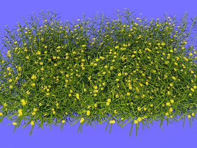Vegetation combination of modern flowers and herbs 3d model