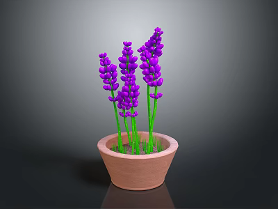 Fresh Purple Lavender Plant In Terracotta Pot For Indoor Home Decor 3d model