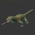 Reptile Lizard With Brown Body And Pink Tongue Sticking Out On Grey Background