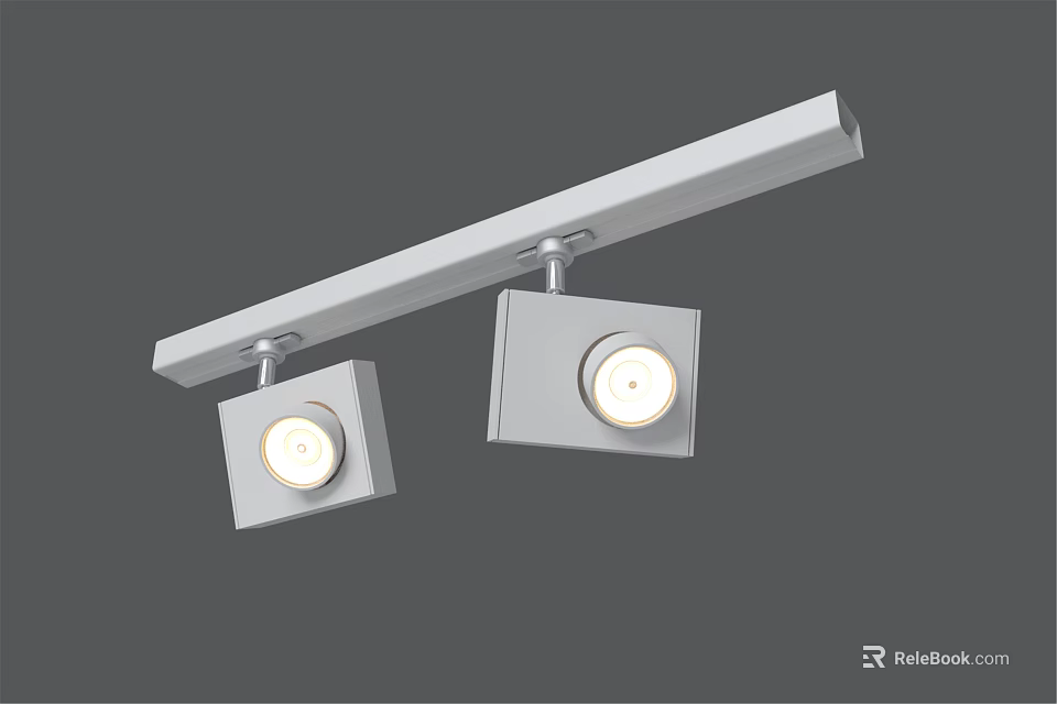 Modern White Ceiling Mounted Downlights and Spotlights with Two Square Heads 3d model 