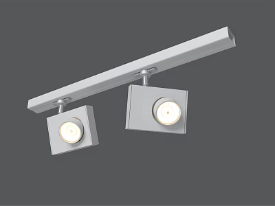 Modern White Ceiling Mounted Downlights and Spotlights with Two Square Heads 3d model