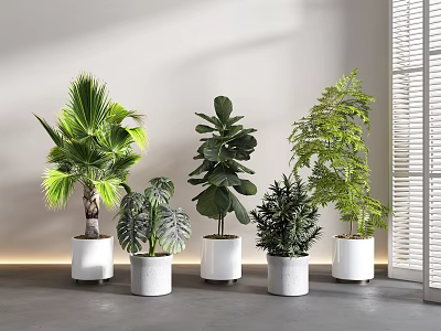 Stylish Potted Plants in White Pots with Various Green Foliage and Window Shutters 3d model