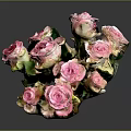 Bouquet of pink roses with fresh green leaves on grey background