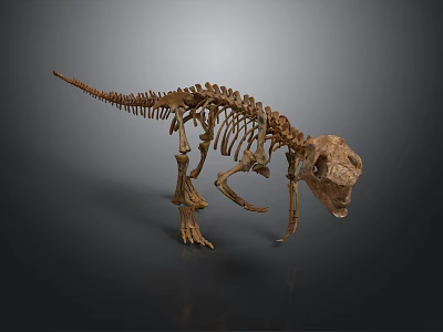 Prehistoric Dinosaur Skeleton Fossil Complete Display With Articulated Bone Structure In Museum 3d model