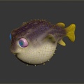 Puffer Dolphin Cartoon Puffer Dolphin Cartoon Puffer Sashimi Puffer Fish Freshwater Fish Puffer Fish 3d model