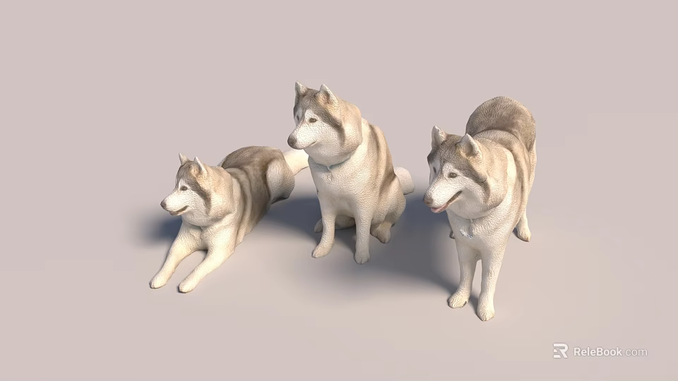 Three Gray White Reptile Figurines With Various Poses On Plain Background 3d model