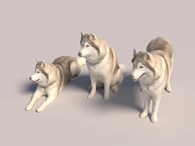Modern 3d model