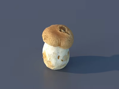 Handcrafted Stone Wood Mushroom Ornament With Brown Top And White Base 3d model