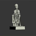 Animal Skeleton Anatomical Model on White Base with Detailed Bone Structure
