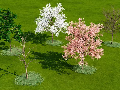 Modern Trees Trees 3d model