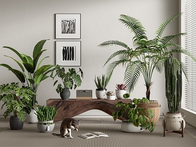 Modern Potted Plant Green Plant Potted Plant Bonsai Tortoise Bamboo Scatter Kwai Bird of Paradise Cactus Fleshy 3d model