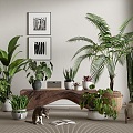 Modern Potted Plant Green Plant Potted Plant Bonsai Tortoise Bamboo Scatter Kwai Bird of Paradise Cactus Fleshy 3d model